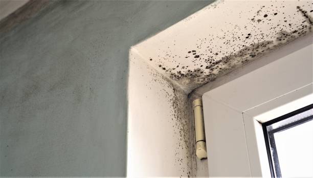 Best Residential Mold Inspection & Testing  in Laurium, MI