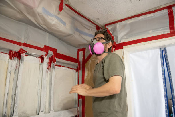 Asbestos and Lead Testing During Mold Inspection